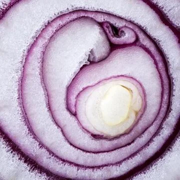 Red onion (background) Foto stock