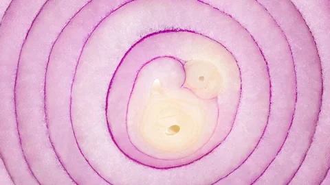 Red onion, cut, inner part with rings rotating 스톡 동영상 207801044