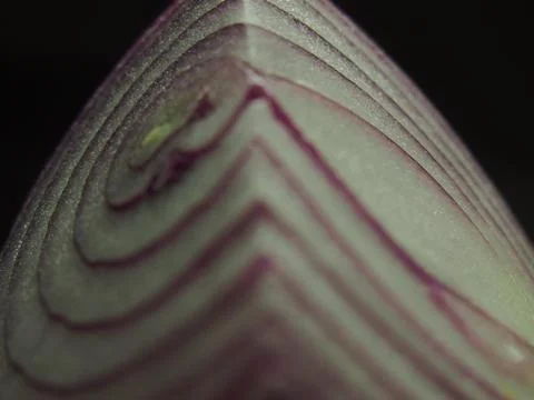 Red Onion cut texture 库存照片