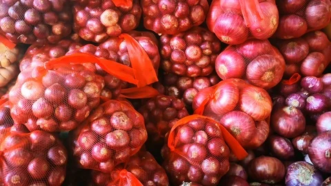 The red onion Stock Footage 103892113