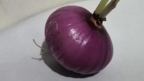Red onion Stock Footage 238963124