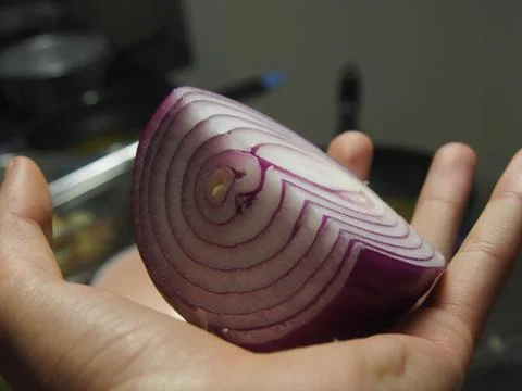 Red Onion in hand 库存照片