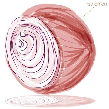 Red onion Stock Illustration