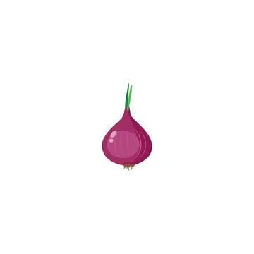 Red onion. Stock Illustration