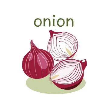 Red Onion Isolated object in flat style. Stock-Illustration