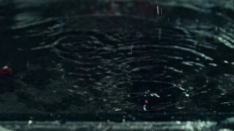 Red onion. Macro. Stock Footage 80240987