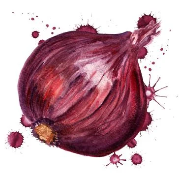Red onion with paint blots Stock Illustration