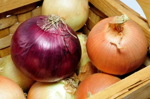 Red onion Stock Photos