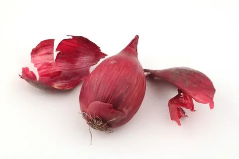 Red onion. Stock Photos