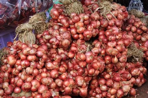 Red onion Stock-Fotos