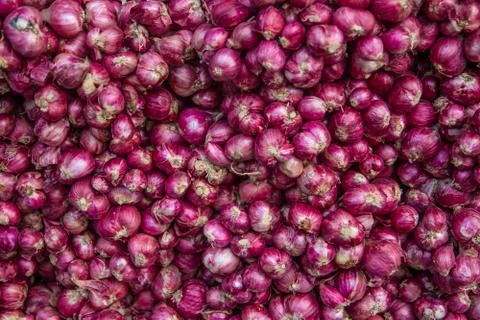 Red onion Stock Photos