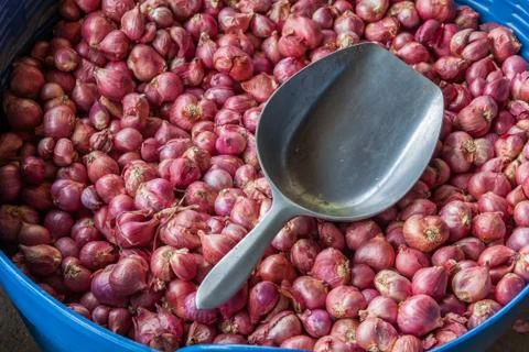 Red onion Stock Photos