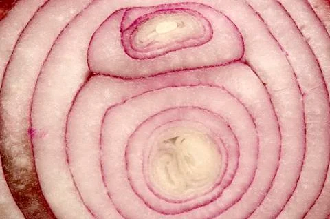 Red onion Stock Photos
