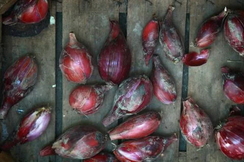Red Onion Stock Photos