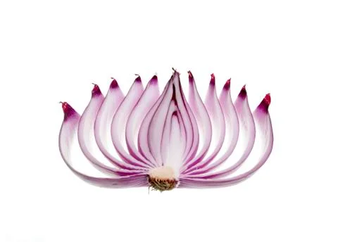 Red Onion Stock Photos