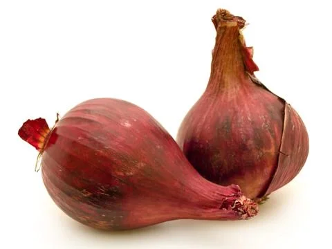 Red Onion Stock Photos