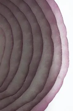 Red Onion Foto stock