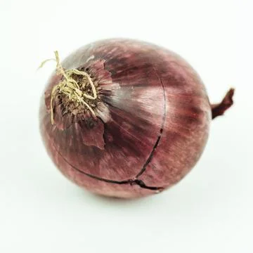 RED ONION Stock Photos