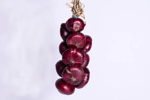 Red onion 写真素材