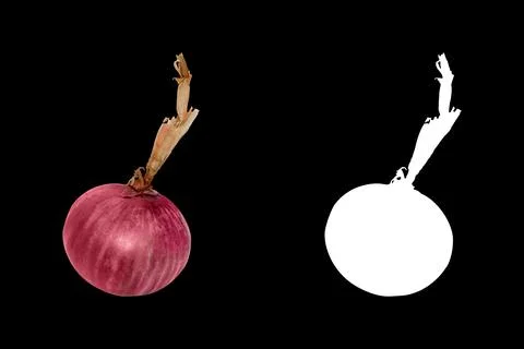 Red onion Stock Photos