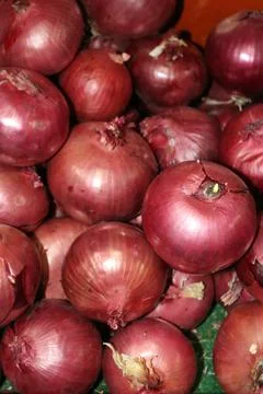 Red onion Stock Photos