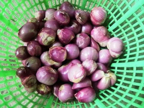 Red Onion Stock Photos