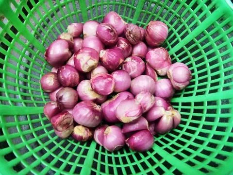 Red Onion Stock Photos