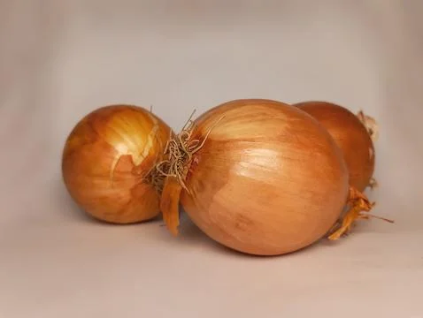 Red onion Stock-Fotos