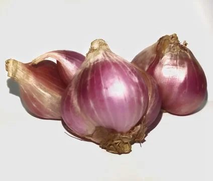 Red onion Stock Photos