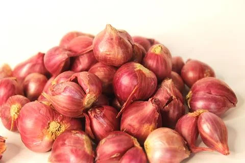 Red onion Foto stock