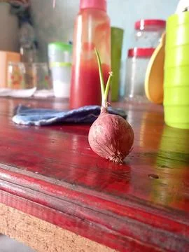 Red onion Stock Photos