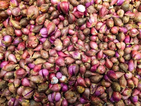 Red onion Stock Photos