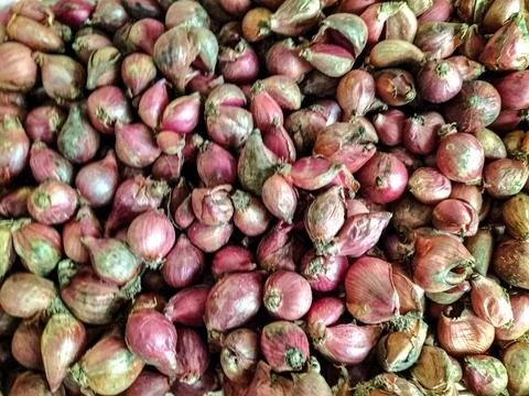 Red onion Stock Photos