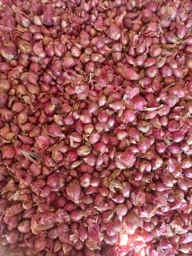 Red onion Fotos Stock