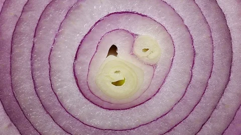 Red onion rotates 스톡 동영상 122977296