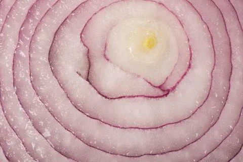 Red Onion Slice - Closeup Stock Photos