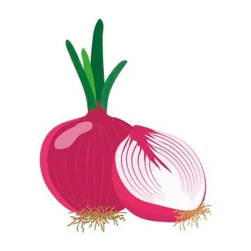 Red onion with slice flat design, vector illustration. Stock Illustration