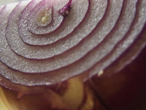 Red Onion texture 库存照片