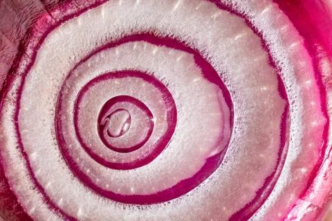Red Onion Texture Stock Photos
