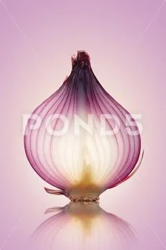 Red Onion Translucent layers Stock Photos