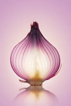 Red Onion Translucent layers Foto stock