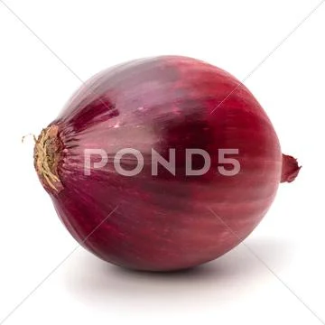 Red onion tuber Stock Photos