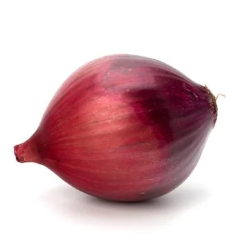 Red onion tuber Stock Photos