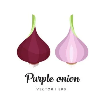 Red onion vector editable illustration. Half of red onion, simple flat style. Stock Illustration