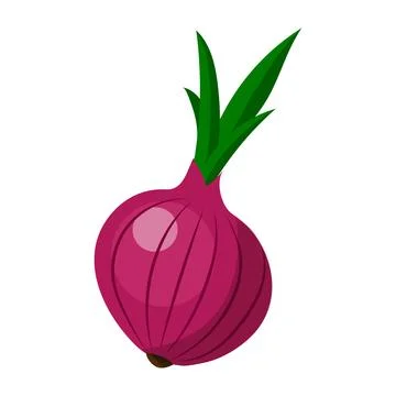 Red onion. Vector illustration on a white background Stock Illustration