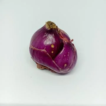 Red onion on white background Stock Photos
