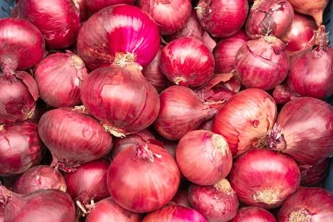 Red Onions Background Stock Photos