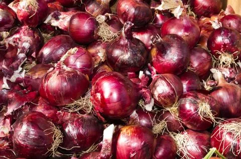 Red onions on display 写真素材