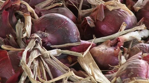 Red onions Stock-Footage 54363050