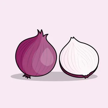 Red Onions Stock Illustration